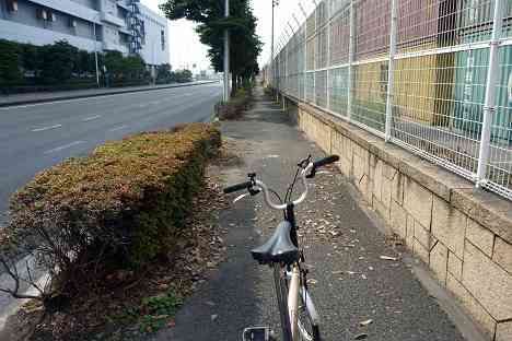 大黒ふ頭サイクリング
