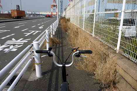 大黒ふ頭サイクリング
