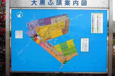 大黒ふ頭サイクリング
