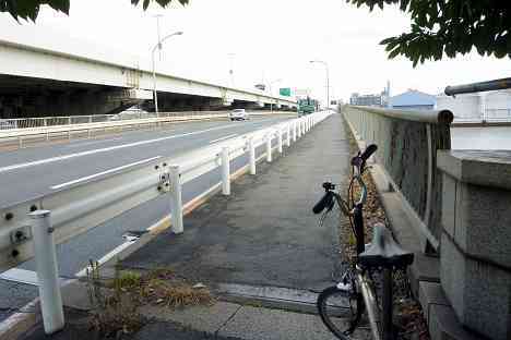 大黒ふ頭サイクリング