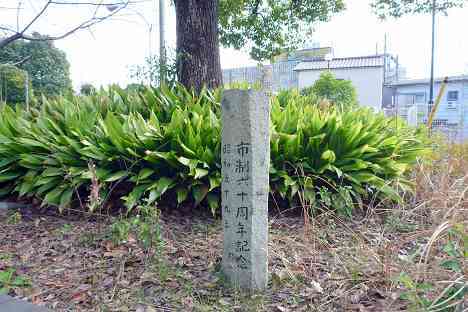 大黒ふ頭サイクリング