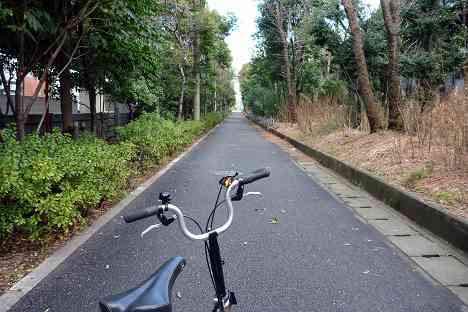 大黒ふ頭サイクリング