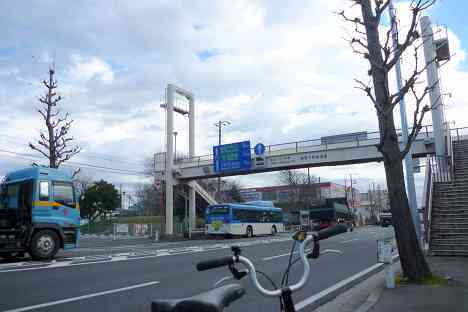 大黒ふ頭サイクリング