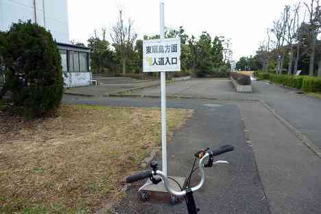 大黒ふ頭サイクリング