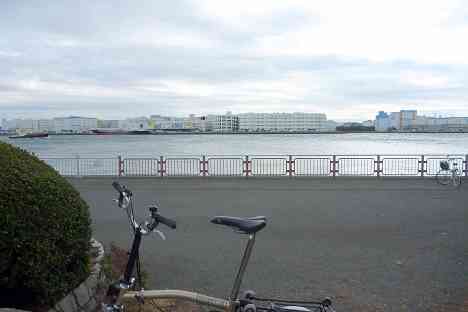 大黒ふ頭サイクリング