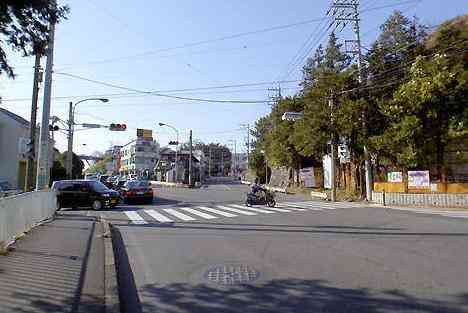 大山・江の島・鎌倉詣で