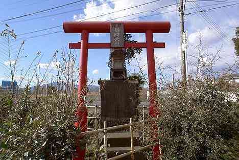 大山・江の島・鎌倉詣で