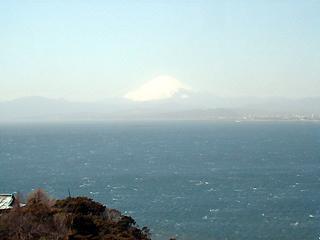 江の島マニアック