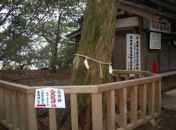 江の島マニアック