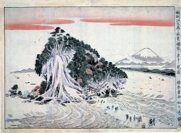 江の島マニアック
