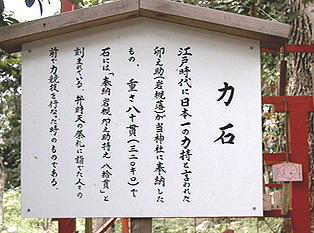 江の島マニアック