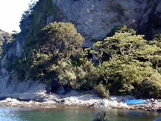 江の島マニアック 西裏漁港の裏にある砲台跡