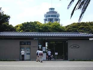 江の島マニアック