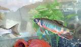 釣り人達の休日