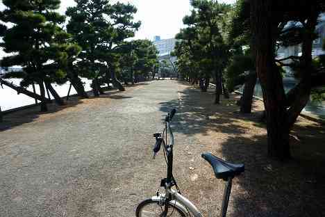 金沢八景サイクリング