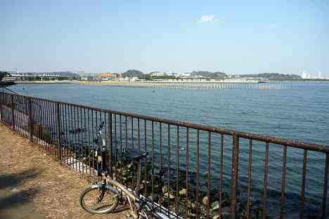 金沢八景サイクリング