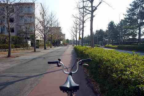金沢八景サイクリング