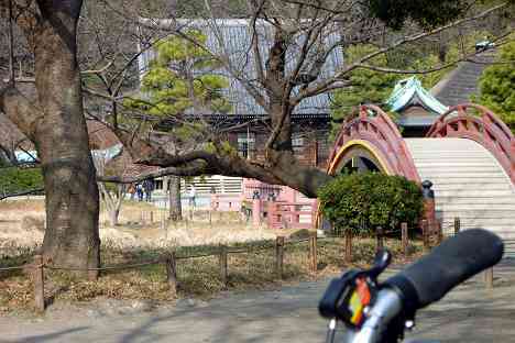 金沢八景サイクリング