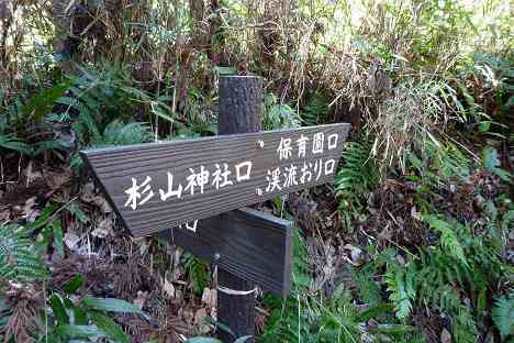 陣ヶ下渓谷