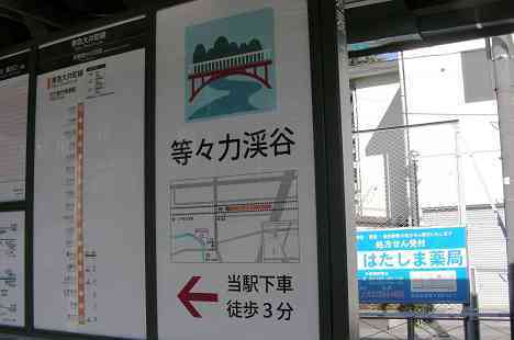 等々力渓谷を行く