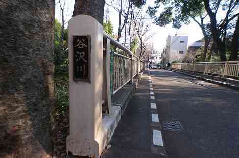等々力渓谷を行く