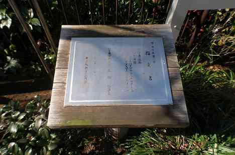 等々力渓谷を行く