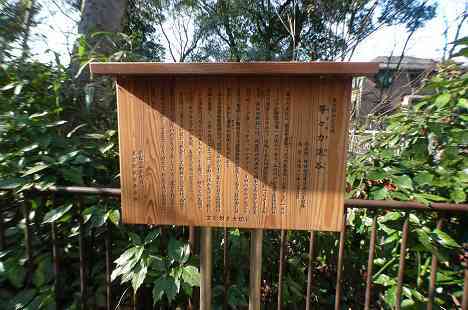 等々力渓谷を行く