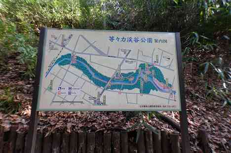等々力渓谷を行く