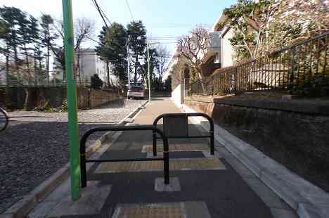 等々力渓谷を行く