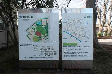 等々力渓谷を行く