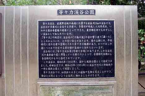 等々力渓谷を行く