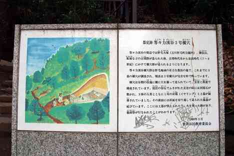 等々力渓谷を行く