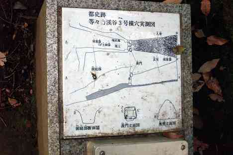 等々力渓谷を行く