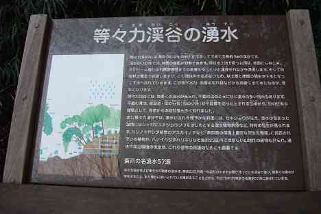 等々力渓谷を行く