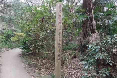 等々力渓谷を行く