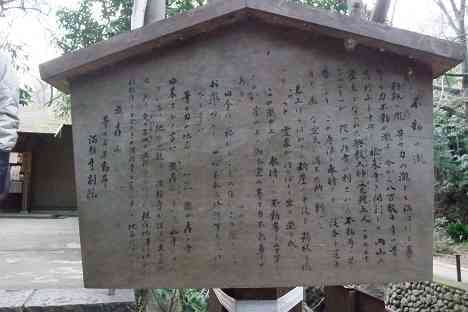 等々力渓谷を行く