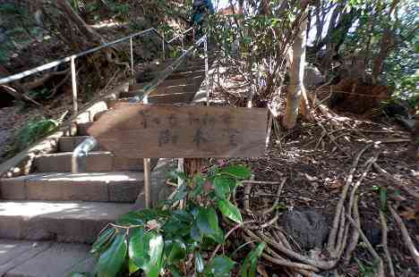 等々力渓谷を行く
