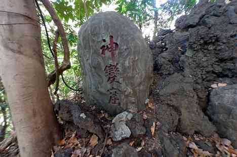 等々力渓谷を行く
