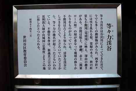 等々力渓谷を行く