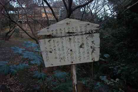 等々力渓谷を行く