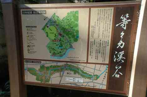 等々力渓谷を行く