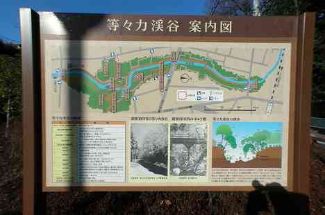 等々力渓谷を行く