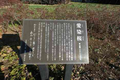 等々力渓谷を行く