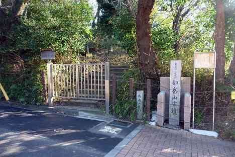 等々力渓谷を行く