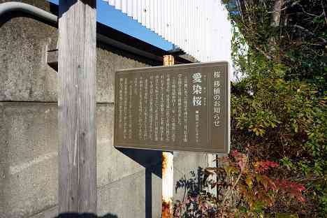 等々力渓谷を行く
