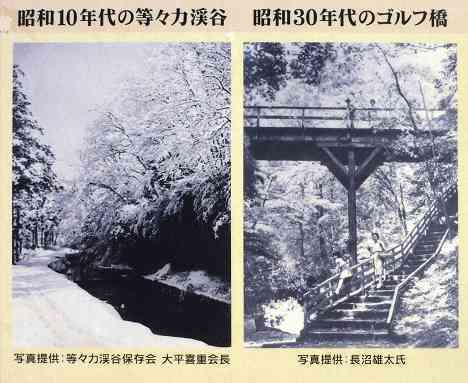 等々力渓谷を行く