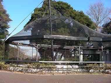 野毛山動物園