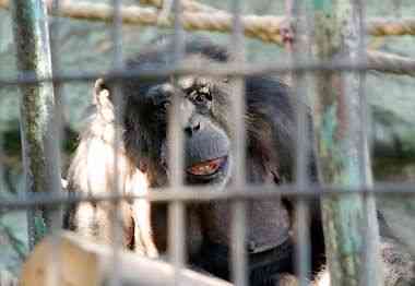 野毛山動物園
