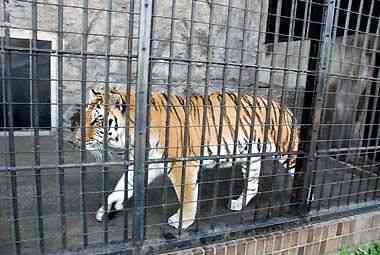 野毛山動物園