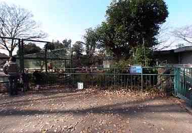 野毛山動物園